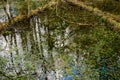 Lake and swamps in the forest, fallen trees in the moss