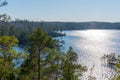 The lake in the Swedish forest. Photo of Scandinavian nature. Woods