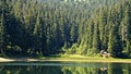 Lake Synevir in Carpathian Mountains in Ukraine Royalty Free Stock Photo