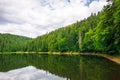 lake of synevyr national park in summer Royalty Free Stock Photo