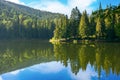 lake of synevyr national park at sunrise Royalty Free Stock Photo