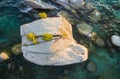 Lake Tahoe Bonsai Rock Royalty Free Stock Photo