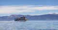 Sternwheeler with tourists on a lake with mountain landscape in background. Royalty Free Stock Photo