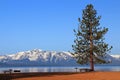 Lake Tahoe in Morning Light at Zephyr Cove, Nevada, USA Royalty Free Stock Photo