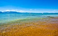 Lake Tahoe Shore Royalty Free Stock Photo
