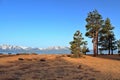 Lake Tahoe and Sierra Nevada at Zephyr Cove in Morning Light, Nevada, USA Royalty Free Stock Photo