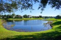 A lake in Tampa