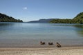 Lake Tarawera Royalty Free Stock Photo