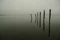 Lake Te Anau in heavy fog