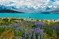 Lake Tekapo Royalty Free Stock Photo