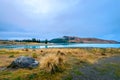 Lake Tekapo, South Island, New Zealand Royalty Free Stock Photo