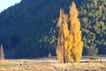 Lake Tekapo,South Island New Zealand. Royalty Free Stock Photo