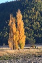 Lake Tekapo,South Island New Zealand.