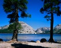 Lake Tenaya Royalty Free Stock Photo