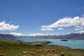 Lake Tepako panorama Royalty Free Stock Photo