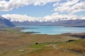 Lake Tepako upland walk Royalty Free Stock Photo