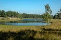 Lake in Teverner Heide, Germany