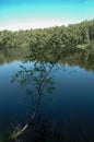 Lake in Teverner Heide, Germany