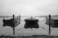 A lake there are several rowing boats on the shore and they are chained and the water is mirror-smooth Royalty Free Stock Photo