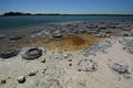 Lake Thetis stromatolites. Cervantes. Shire of Dandaragan. Western Australia. Australia Royalty Free Stock Photo