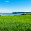 Lake, thickets of reeds and blue sky