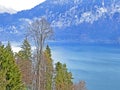 Lake Thun - Alpine lake in the Bernese Oberland (Thunersee - ein Fjordsee im Berner Oberland am nordlichen Alpenrand)