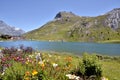 Lake of Tignes and flowers in France