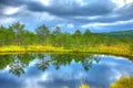 Lake in tinovul mohos HDR Royalty Free Stock Photo