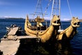 Lake Titicaca- Bolivia Royalty Free Stock Photo