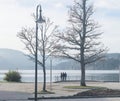 Lake Titisee, Lovely in Autumn Gray