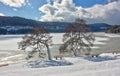 Lake Titisee in winter. Black Forest, Germany. Royalty Free Stock Photo