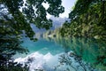 Lake Tovel in the Brenta Dolomites Royalty Free Stock Photo