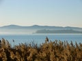 Lake Trasimeno, Italy