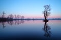 Lake with tree at sunrise, Slovakia Royalty Free Stock Photo