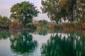 A lake and trees with autumn and sunset beautiful colors