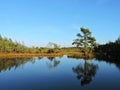 Lake, trees and beautiful clean sky, Lithuania Royalty Free Stock Photo