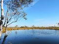 Lake, trees and beautiful clean sky, Lithuania Royalty Free Stock Photo