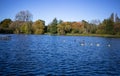 Lake with trees and birds in Perry Park Birmingham Royalty Free Stock Photo