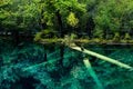 Lake and Trees in Jiuzhaigou Valley, Sichuan, China Royalty Free Stock Photo