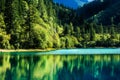 Lake and Trees in Jiuzhaigou Valley, Sichuan, China Royalty Free Stock Photo