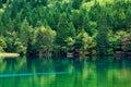 Lake and Trees in Jiuzhaigou Valley, Sichuan, China Royalty Free Stock Photo