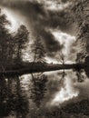 Lake and trees