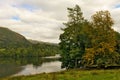 Lake and Trees