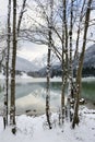 Lake trough trees.