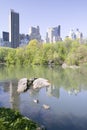 Lake and two ducks in Central Park in Spring with skyline in background, New York City, New York Royalty Free Stock Photo
