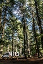 Lake of two rivers Campground Algonquin National Park Beautiful natural forest landscape Canada Parked RV camper car Royalty Free Stock Photo