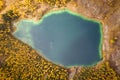 Lake Uchkel and Yellow Larch Forest in Autumn. Aerial Top-Down View. Ulagan Plateau, Altai Republic, Russia Royalty Free Stock Photo