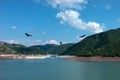 Three Eagles Griffon vulture fly above Uvac Lake.