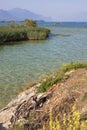 Lake vegetation and clear waters in San Biagio island, Manerba del garda, Italy