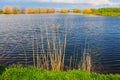 Lake and vegetation Royalty Free Stock Photo